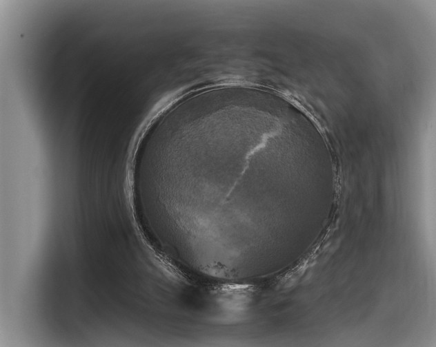 X0000115660055200911191013