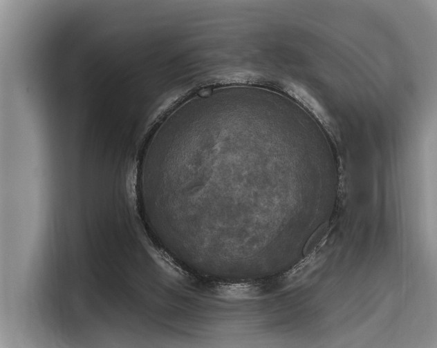 X0000115660058200911191013