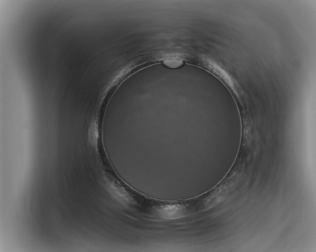 X0000115660059200911191013