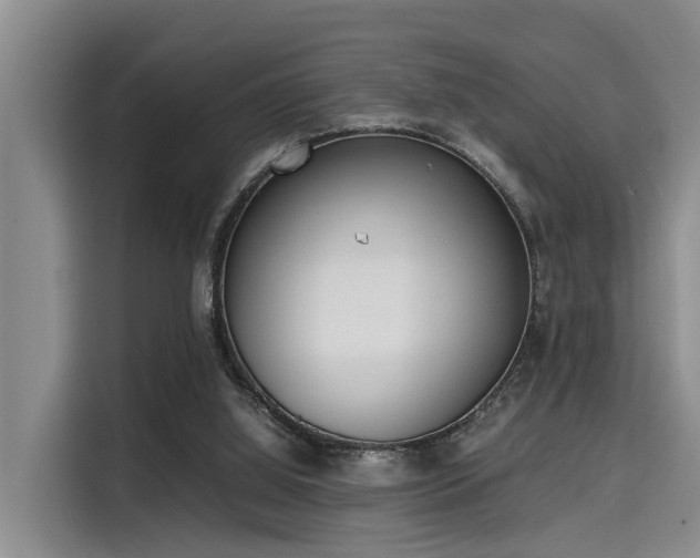 X0000115660060200911191013