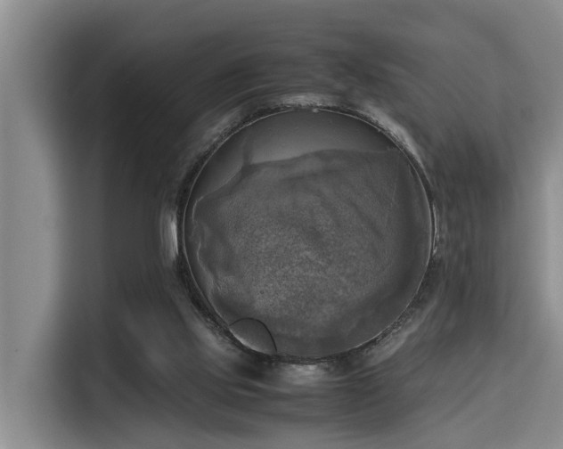X0000115660061200911191013