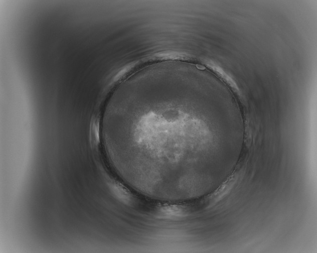 X0000115660062200911191013
