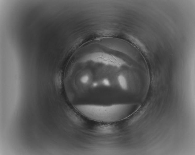 X0000115660065200911191014