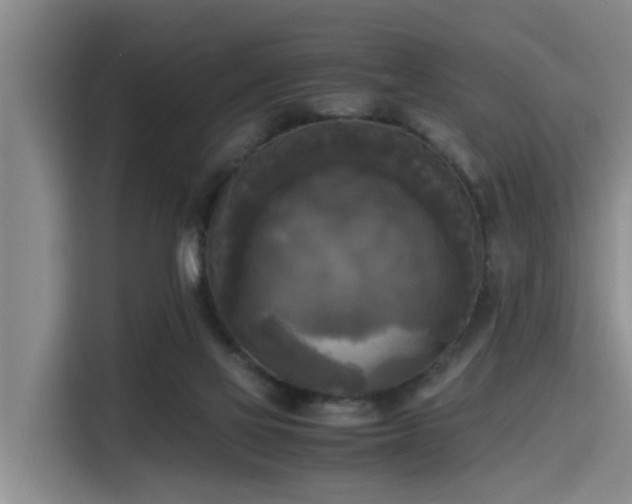 X0000115660069200911191014