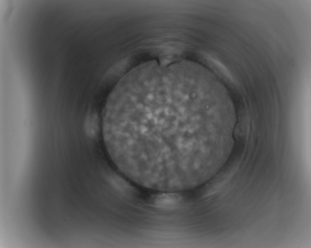 X0000115660077200911191014
