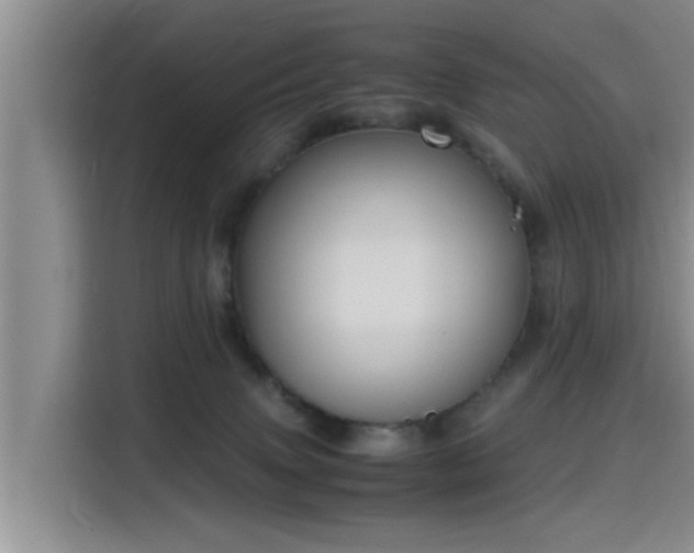 X0000115660083200911191014