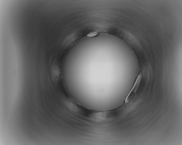 X0000115660084200911191014
