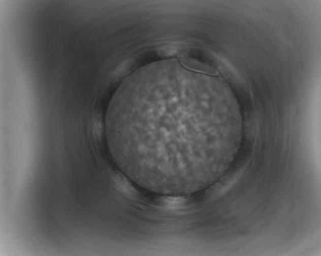 X0000115660085200911191014