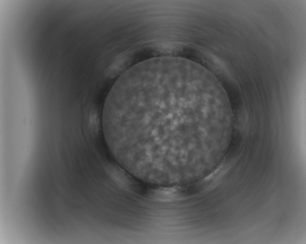 X0000115660086200911191014