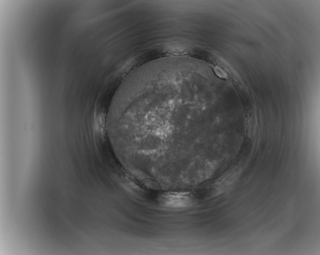 X0000115660093200911191014