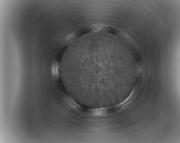 X0000115660094200911191014