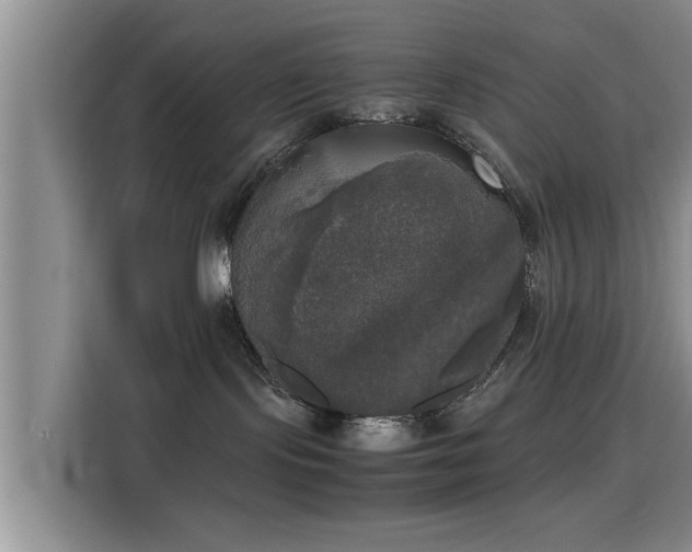 X0000115660095200911191014