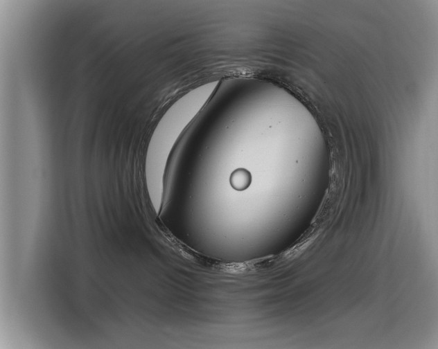 X0000115660096200911191014