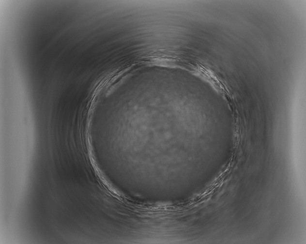 X0000115660097200911191013
