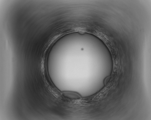 X0000115660098200911191013