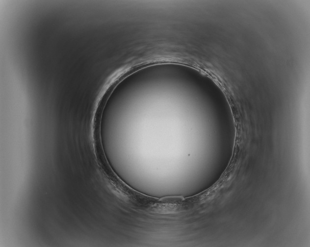 X0000115660104200911191013