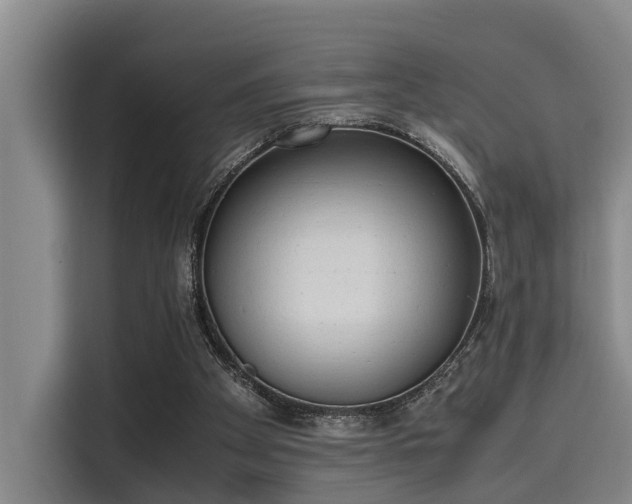 X0000115660105200911191013