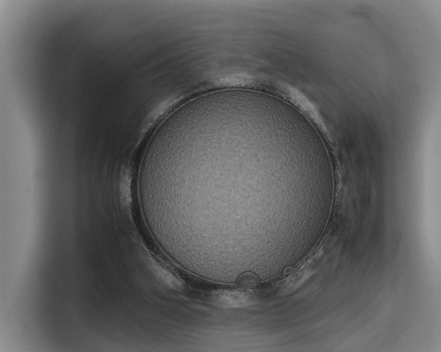 X0000115660106200911191013