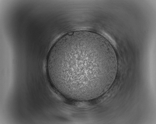 X0000115660107200911191013