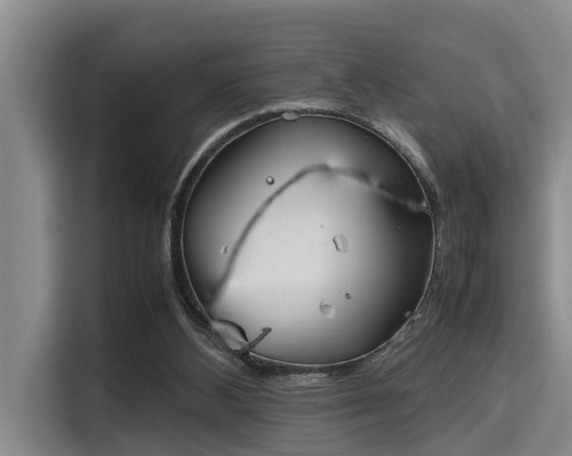 X0000115660108200911191013