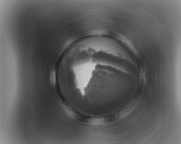 X0000115660110200911191013