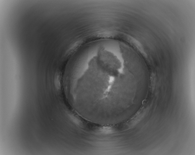 X0000115660114200911191013
