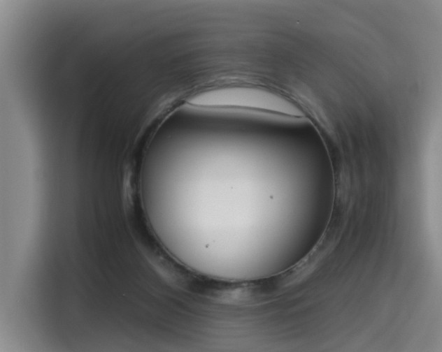 X0000115660116200911191013