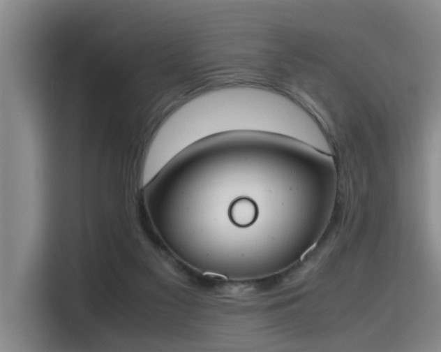 X0000115660117200911191013