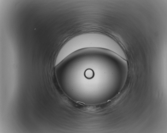 X0000115660121200911191013