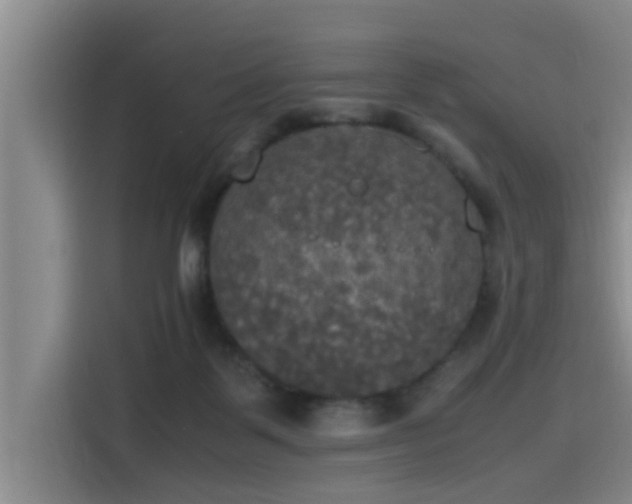 X0000115660123200911191013