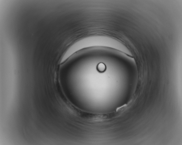 X0000115660124200911191013