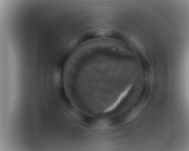 X0000115660127200911191013
