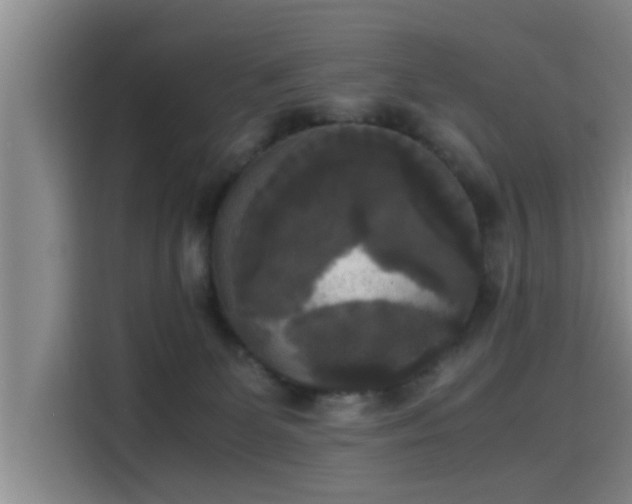 X0000115660131200911191013
