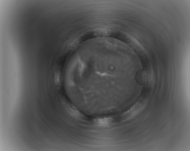 X0000115660134200911191013