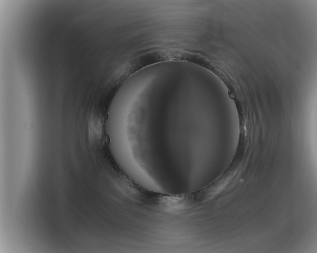 X0000115660139200911191013