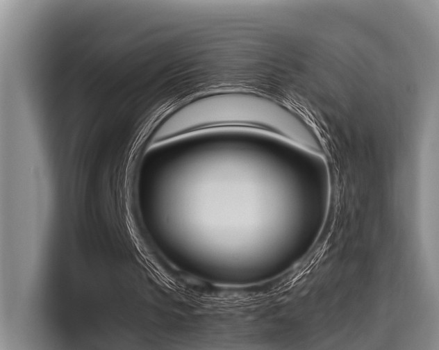 X0000115660145200911191012
