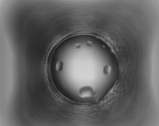 X0000115660146200911191012