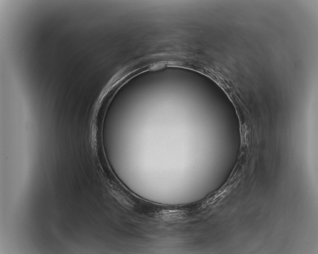 X0000115660150200911191012