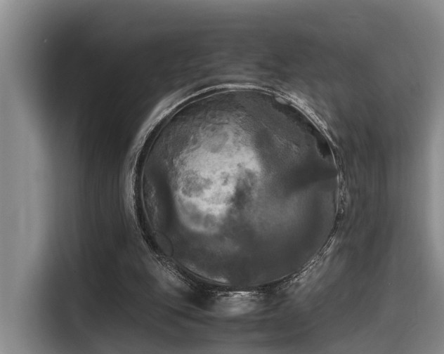 X0000115660151200911191012