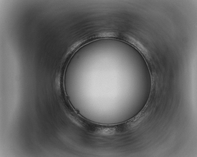 X0000115660155200911191012