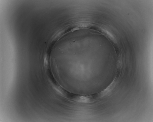 X0000115660166200911191012