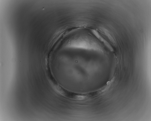X0000115660167200911191012