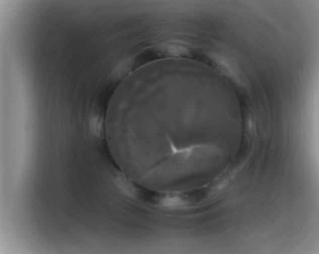 X0000115660177200911191012