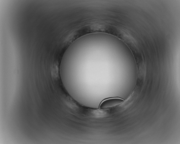 X0000115660183200911191013