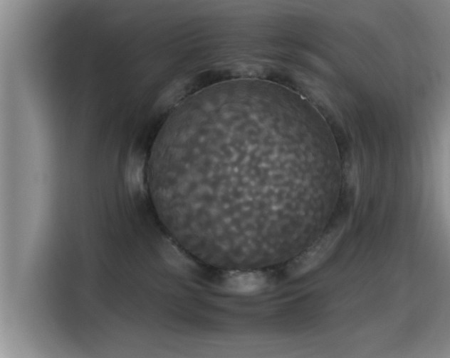 X0000115660185200911191013
