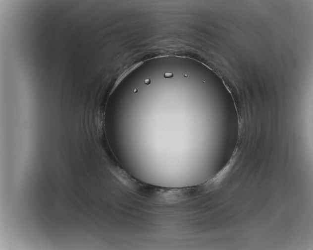 X0000115660186200911191013