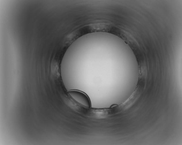 X0000115660187200911191013