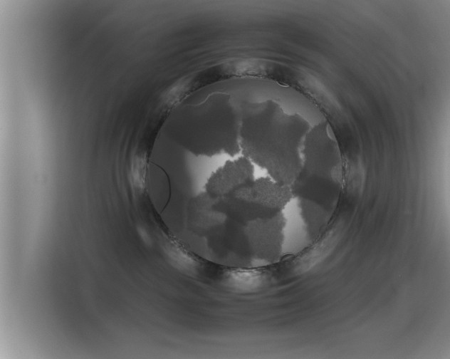 X0000115660189200911191013