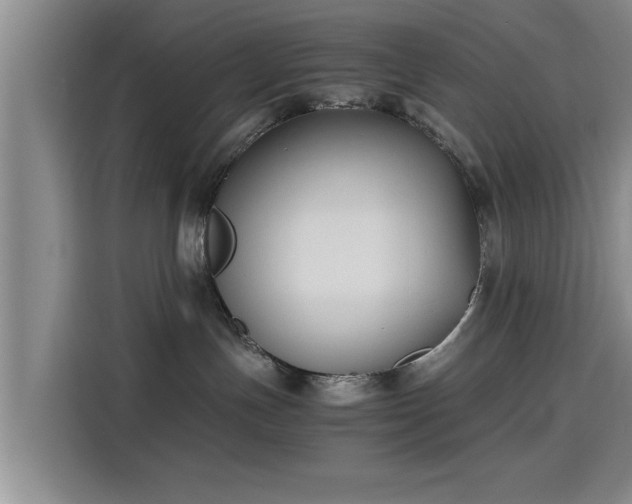 X0000115660191200911191013