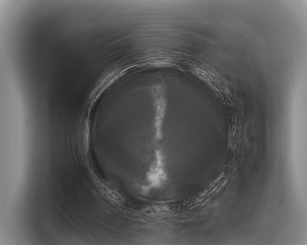 X0000115660194200911191012